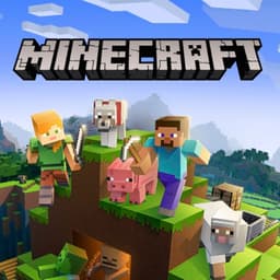 Minecraft Accounts